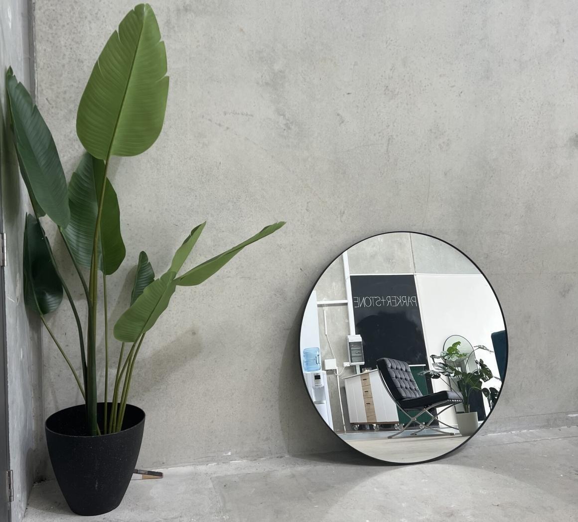 A shot of the inside of Parker + Stone, with a mirror and a plant styled. One of Perth's best content studios