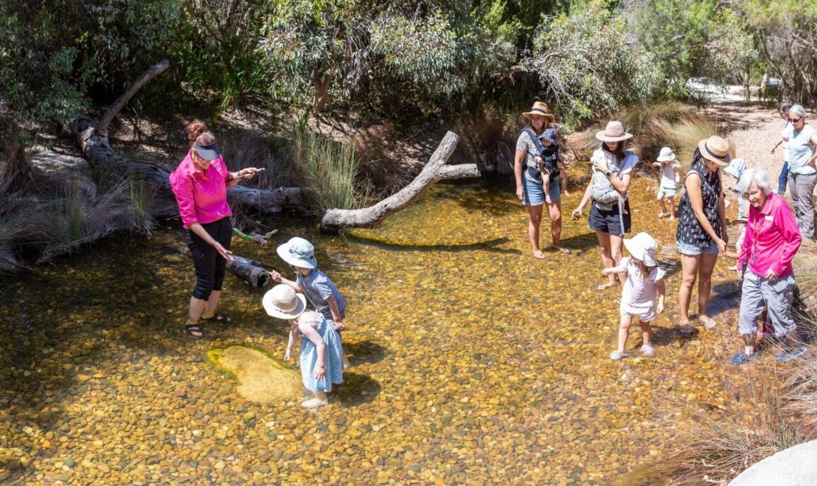 A group of people enjoying the Rio Tinto Naturescape in Kings Park