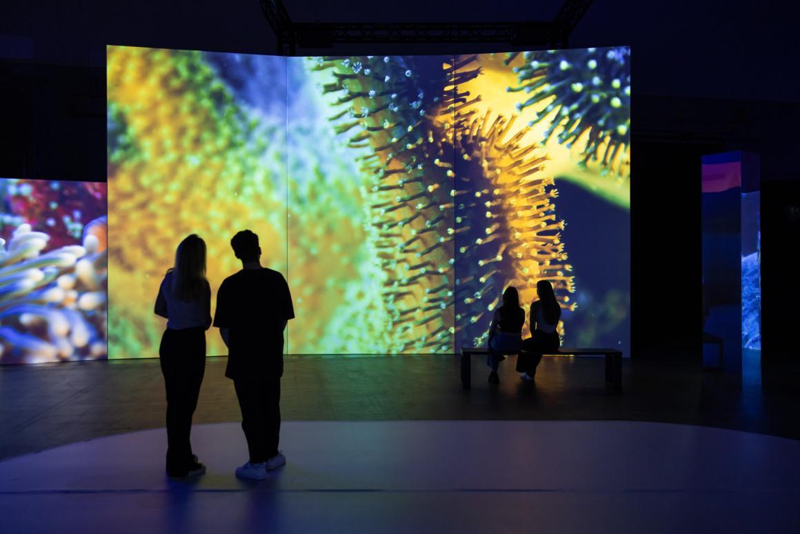 Two people stand in front of a large screen showcasing an underwater scene from Our Country