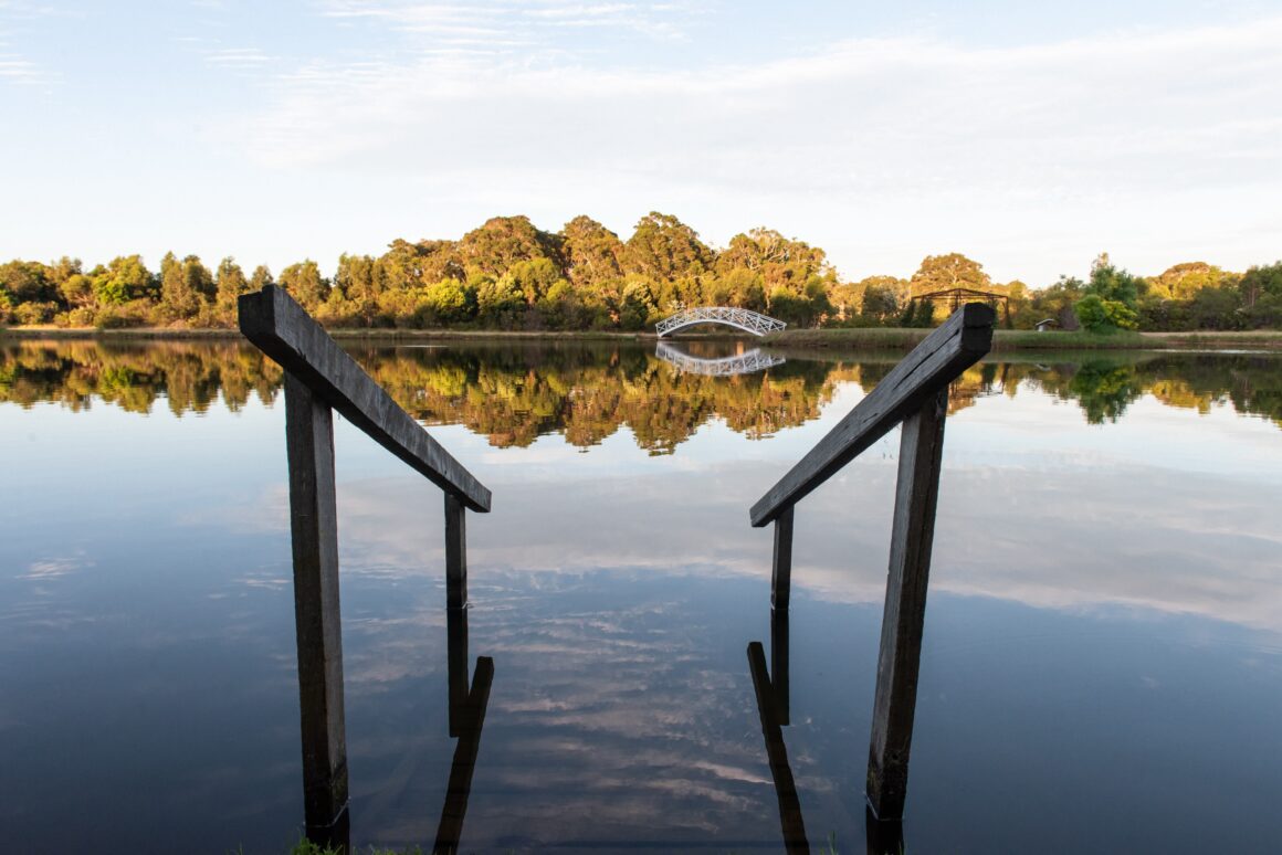 A photo of the stairs going into the lake with the forest behind