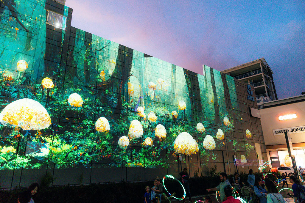 A wall with a mushroom forest setting projected onto it