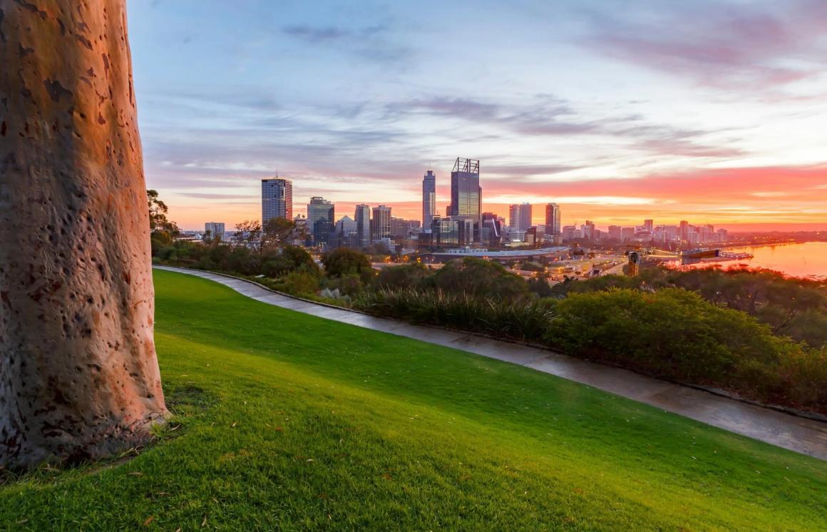 The view of the sunset over Perth city from Kings Park