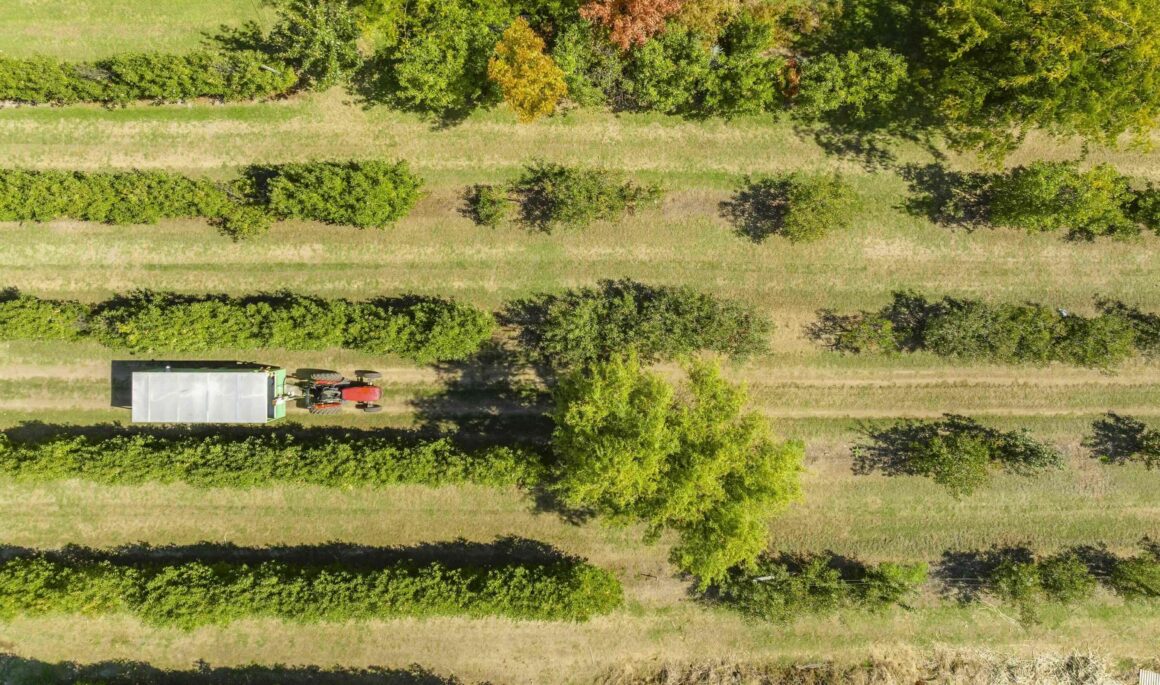 A birds eye view of a tractor between lush fields