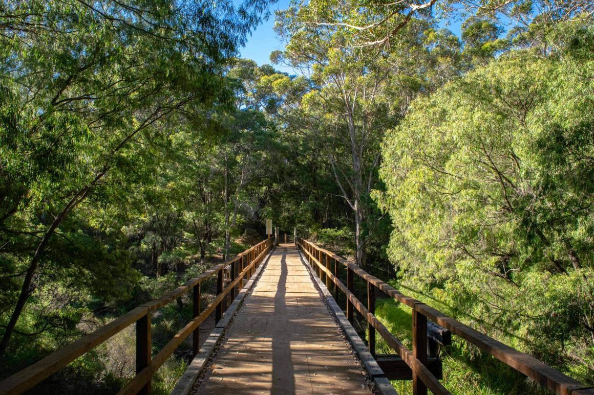 A wide shot of the bridge along the Rotary South Bank River Trail. One of the best dog friendly walking trails in Perth and WA