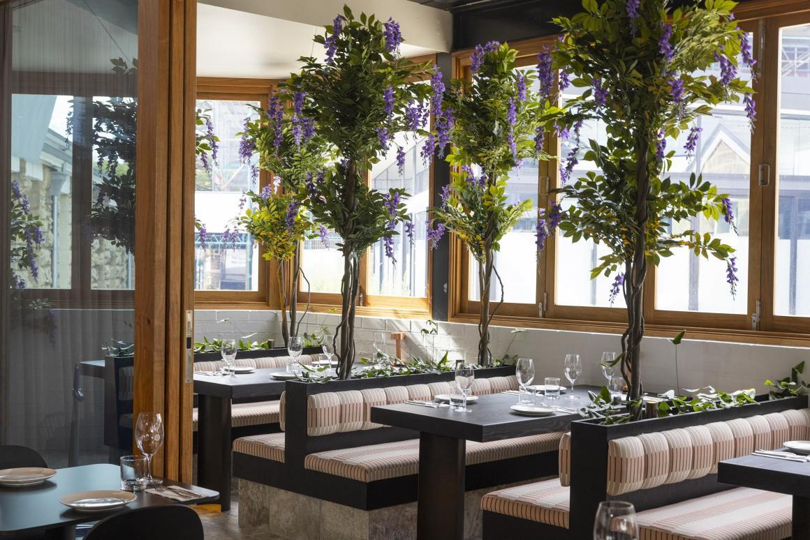 A wide shot of the interior of the Cassia restaurant in Fremantle, showing the bench seating and jakaranda trees