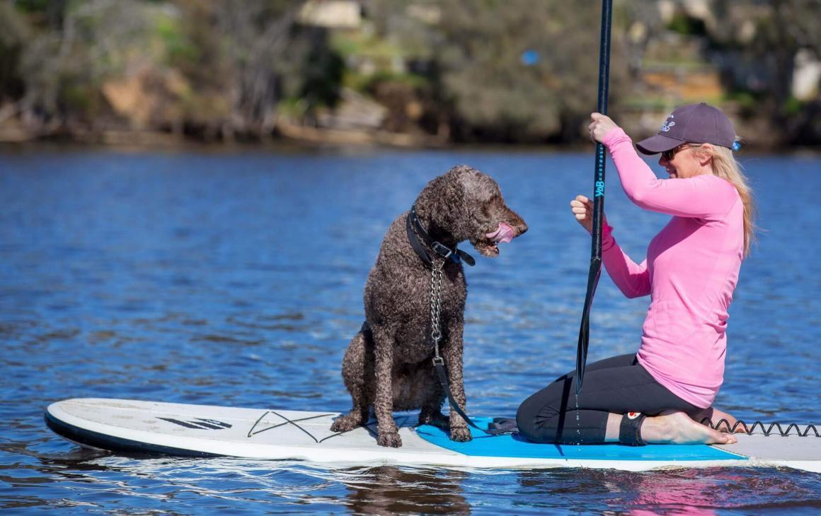 A woman and her dog on a stand up paddle board at Pups on SUPs one of the 10 Best Off-Leash Dog Activities in Perth!
