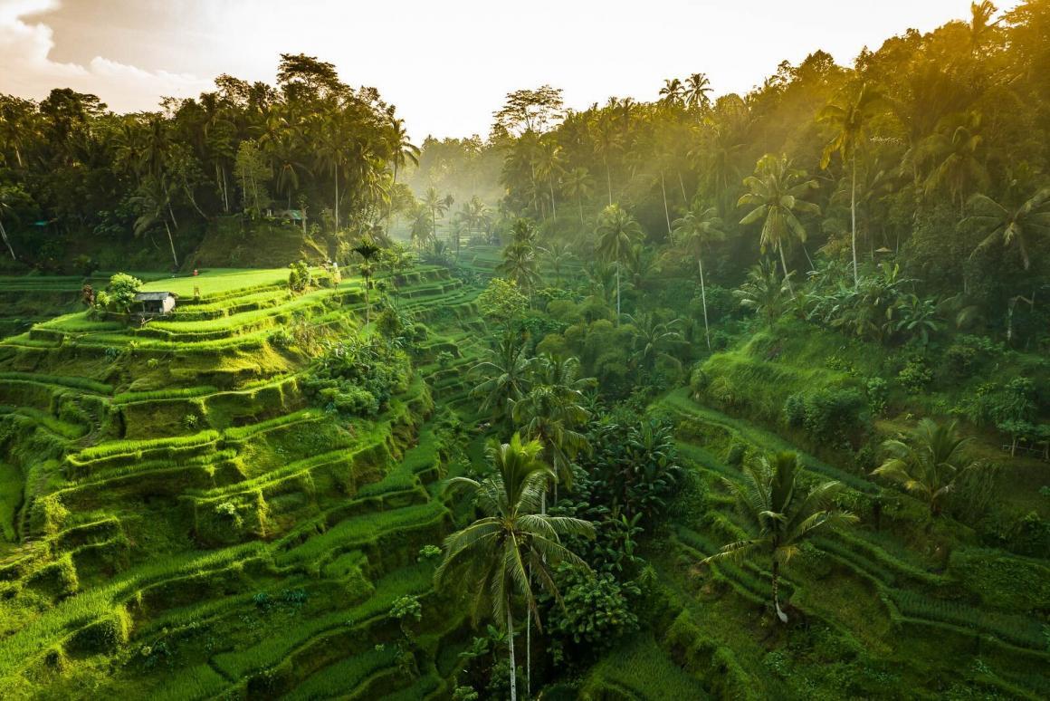 A drone photograph of Bali from Nick Bennett of Tailwinds Aerial Media