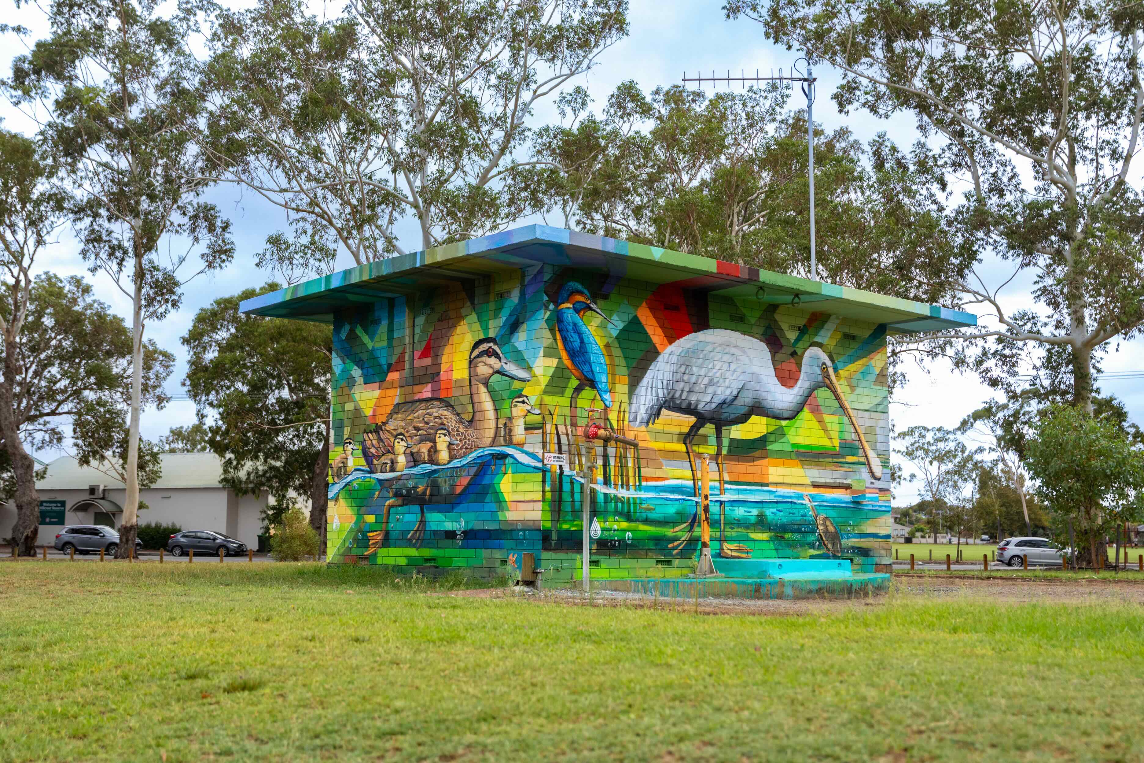 Graeme Miles Richards (local Perth artist) Splash of Artwork mural in collaboration with Water Corporation in WA