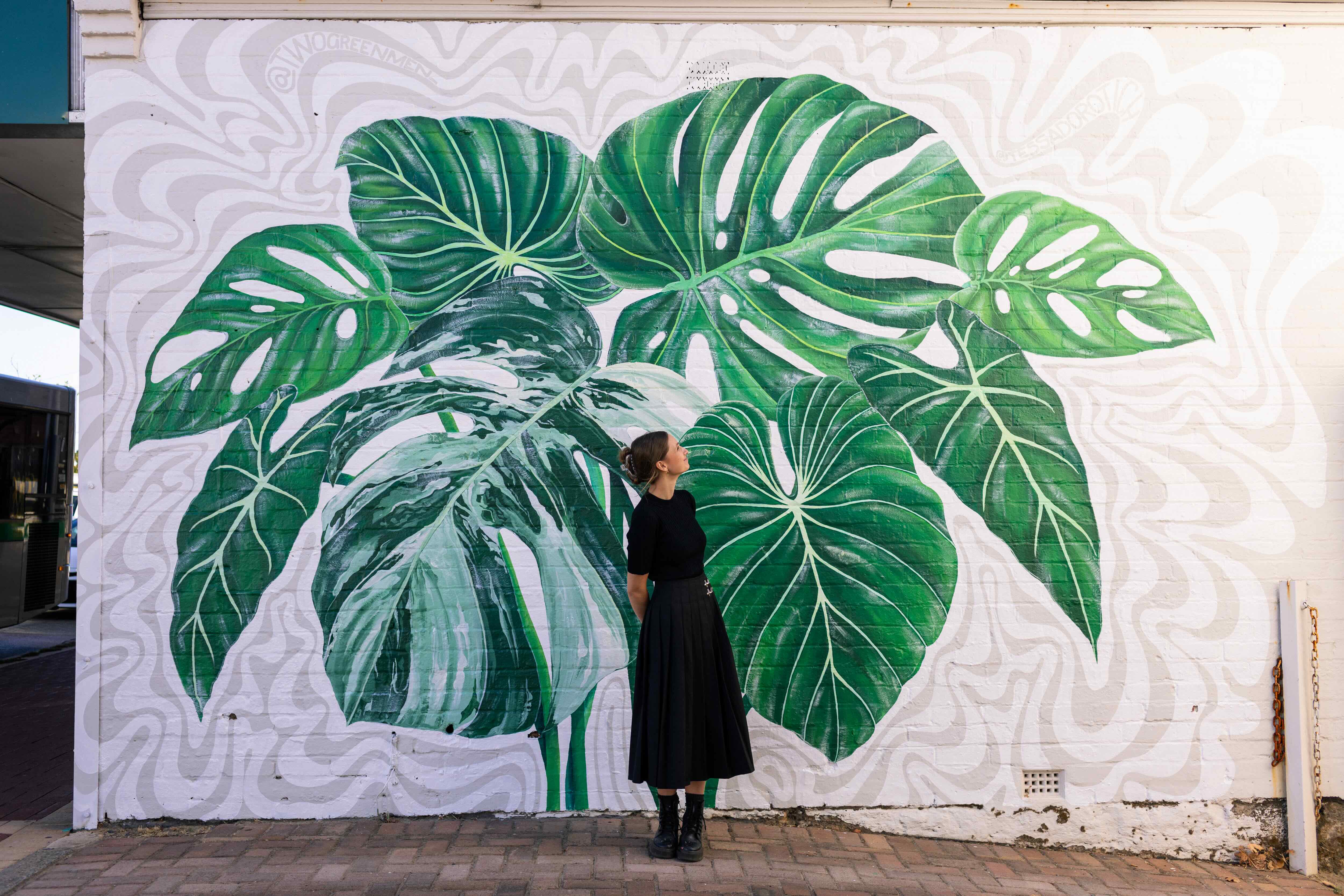 Artist Tessa Dorotich lays stands in front of her mural. She will be showcased in Subiaco's No More Blank Wall's Art Festival