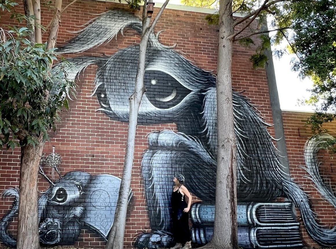 One of local street artist in Perth Hayley Welsh's artworks