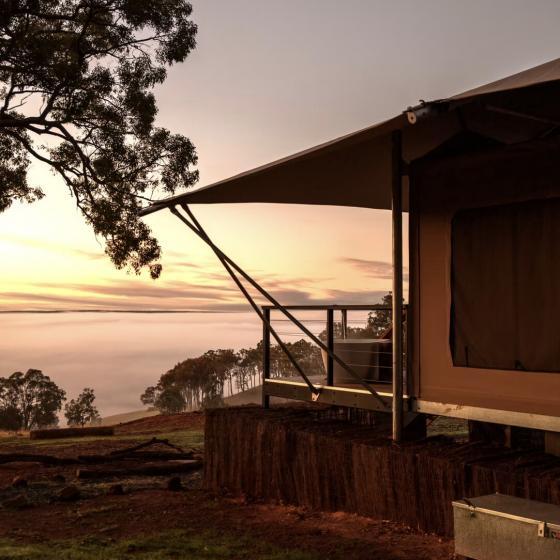the view from a glamping tent down south