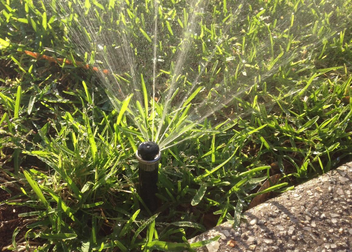 A sprinkler watering the grass before the Winter Sprinkler Switch-off by Water Corporation