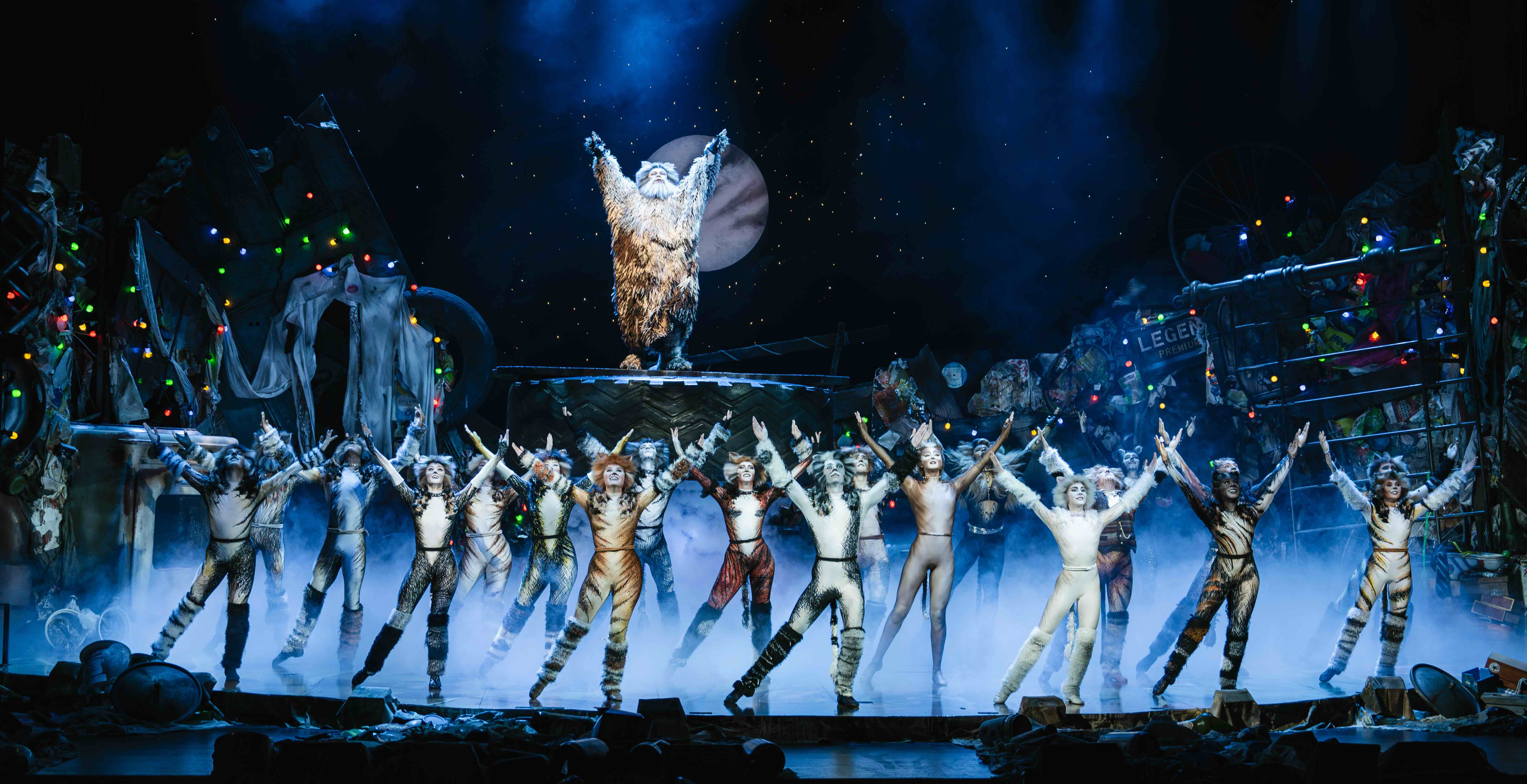 The cast of CATS the musical on stage in Perth