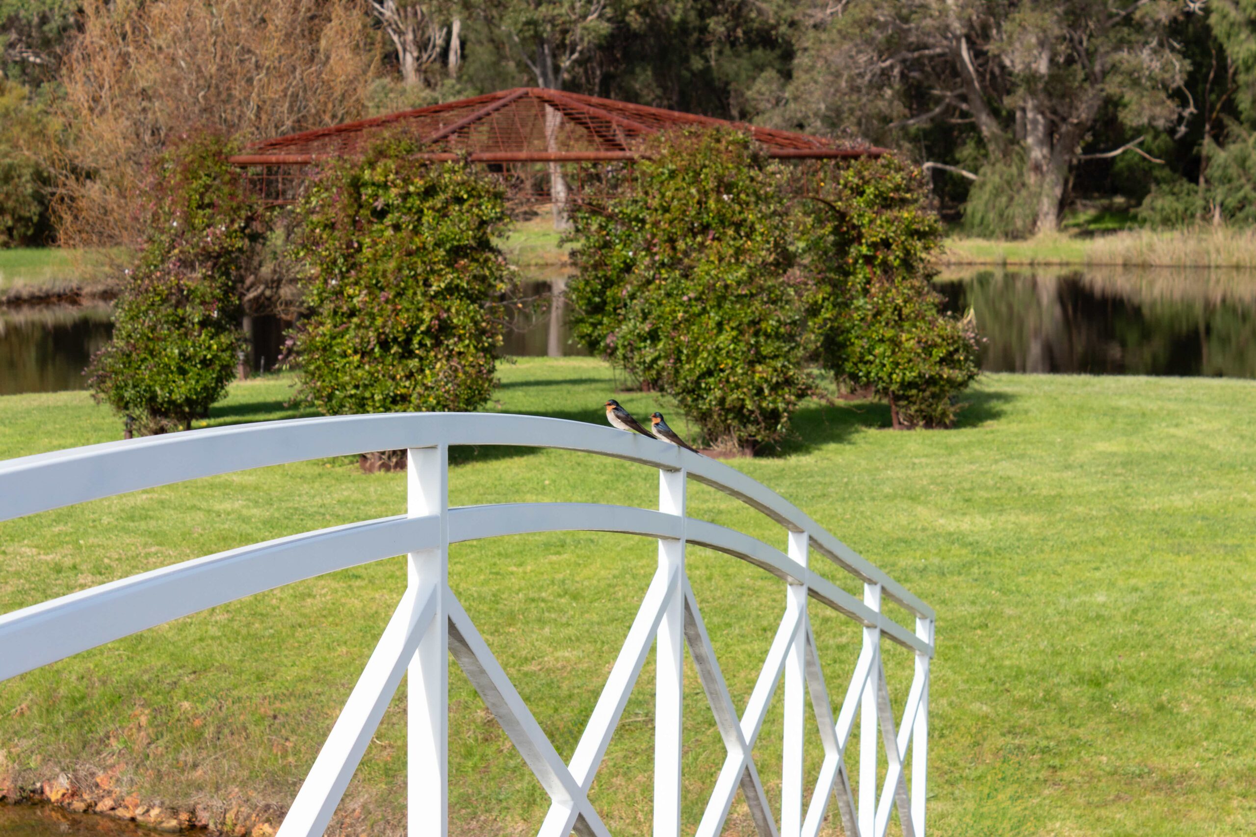 Two birds sitting on the bridge at Edge Luxury Villas