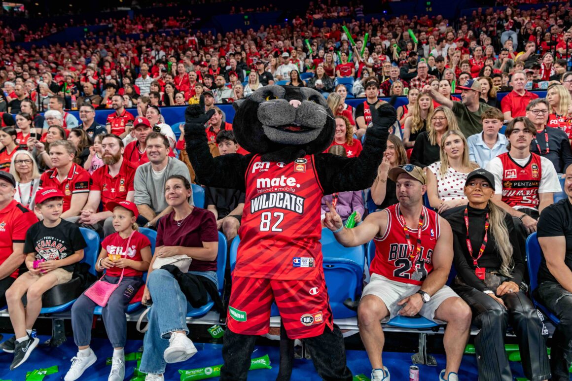 Wildcats, one of the acts in RAC Arena’s Epic 2026/2027 Lineup!